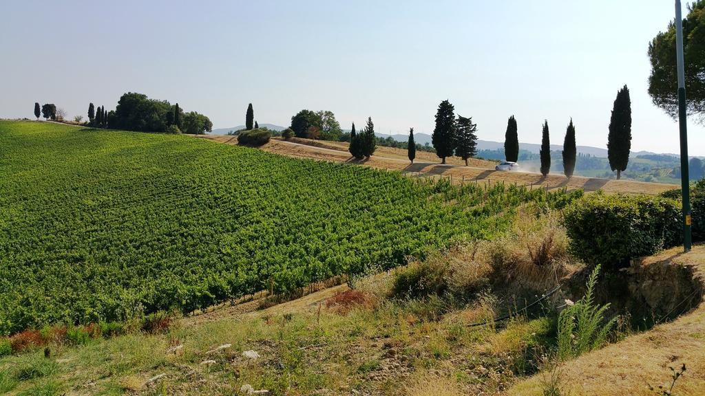 Agriturismo Colleverde Selvatelle Exterior photo